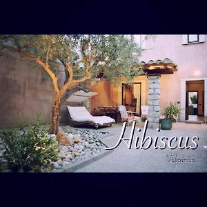 Hibiscus B&B